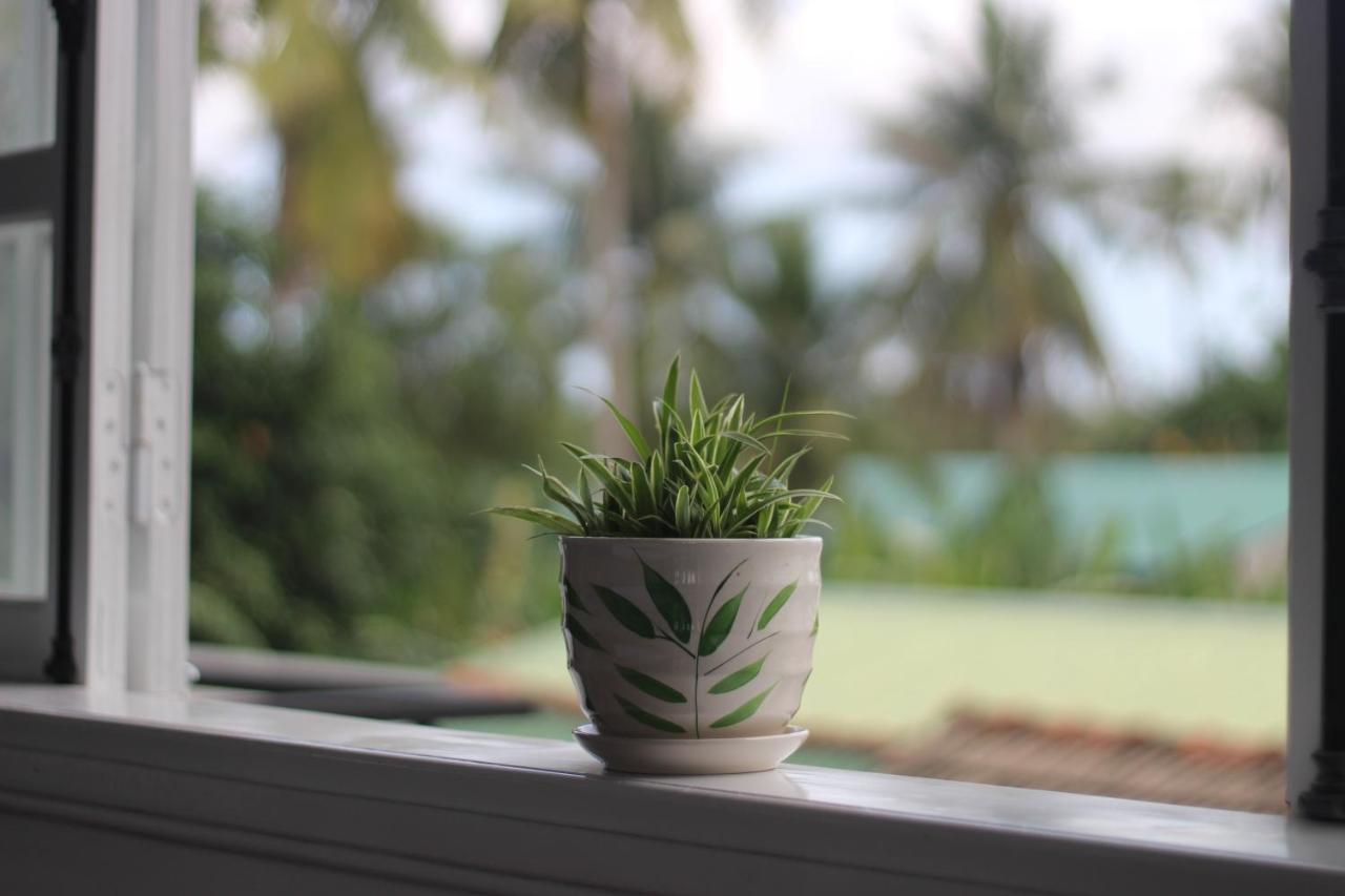 Tiny An Homestay Hué Extérieur photo